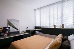 The Trizon (D10), Condominium #541016501